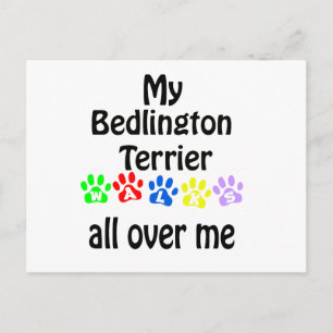 Cartão Postal Bedlington Terrier Walks Design