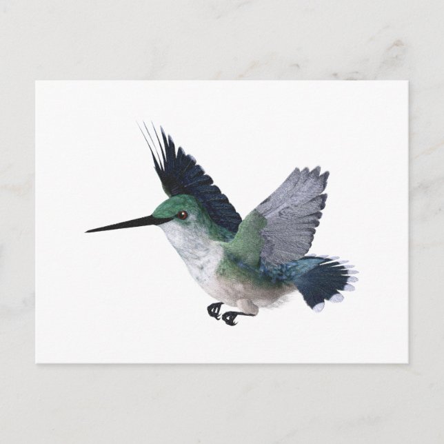 Cartão Postal Bee Hummingbird Female (Frente)