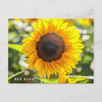 Bee Kind | Girassol