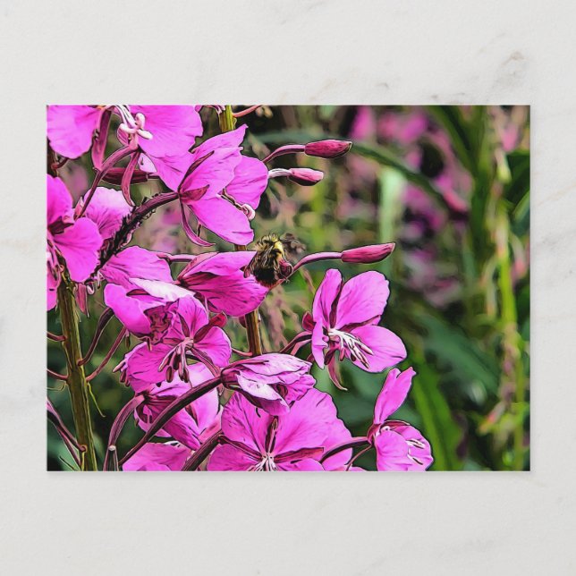 Cartão Postal Bee Nice (Frente)