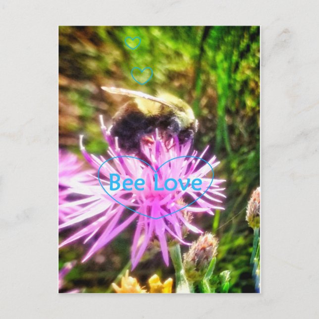 CARTÃO POSTAL BEELOVE2 (Frente)