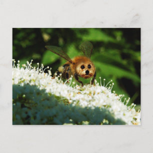 Cartão Postal Beeog