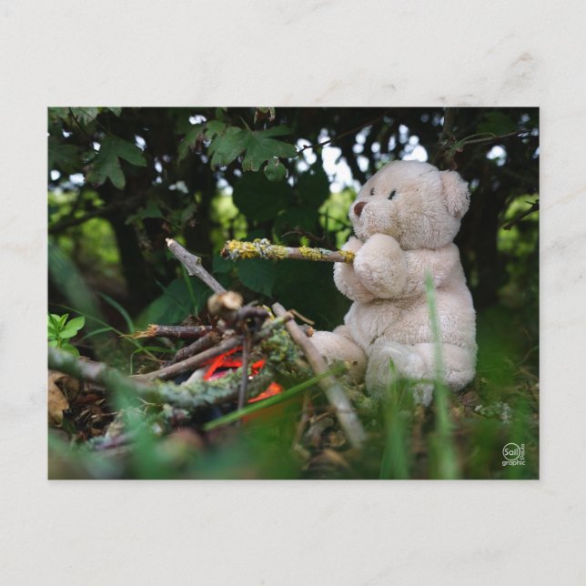 Cartão Postal Beertje dat bij kampvuur zit. (Frente)