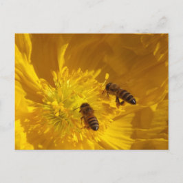 Cartão Postal Bees Postcard