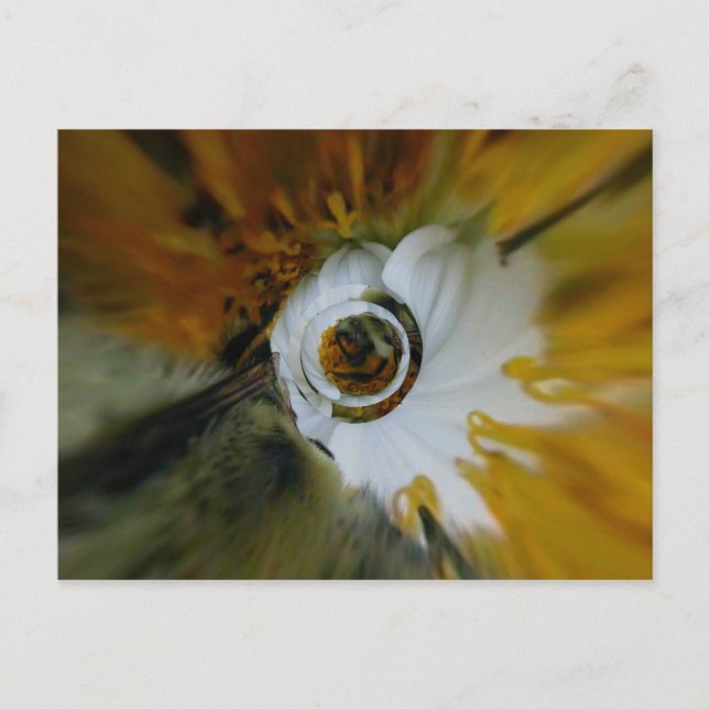 Cartão Postal Beez sujada (Frente)