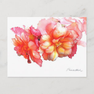 Cartão Postal Begonia Tuberosa n.o 1