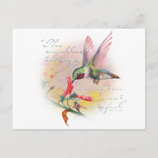 Cartão Postal Beija-flor - As coisas pequenas são as mais bonita