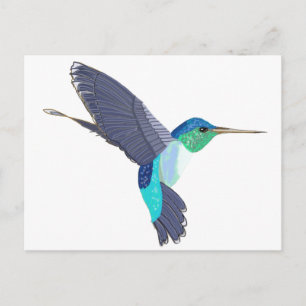 Cartão Postal Beija-flor Azul e Verde