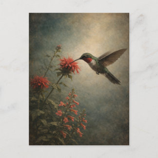 Cartão Postal Beija-flor Bloom | Arte Floral de Pássaros | Cartã