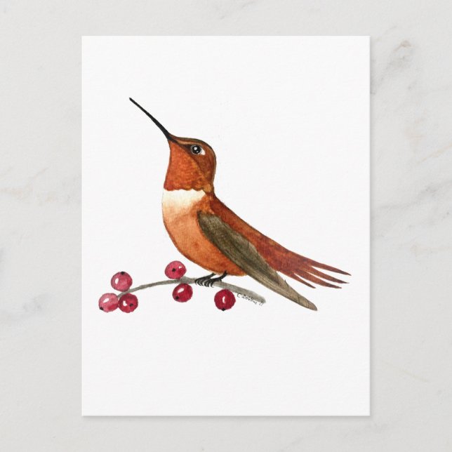 Cartão Postal Beija-flor-cinza (Frente)