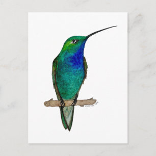Cartão Postal Beija-flor-de-dorso-verde