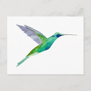 Cartão Postal Beija-flor-de-orelha-roxa
