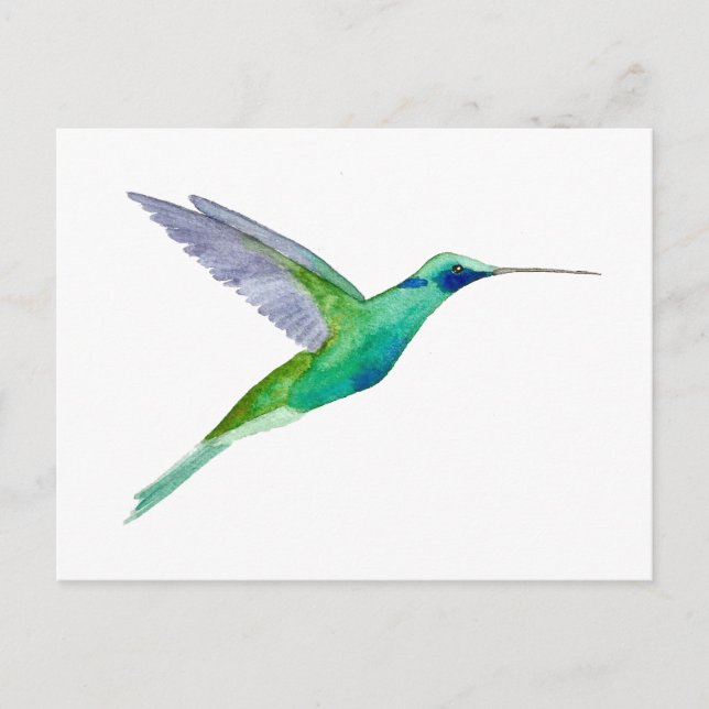 Cartão Postal Beija-flor-de-orelha-roxa (Frente)