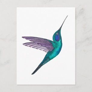 Cartão Postal Beija-flor-de-orelha-violeta-mexicano