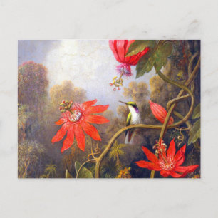 Cartão Postal Beija-flor e Passiflora por Martin Johnson Heade