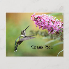 Cartão Postal Beija-flor Floral Foto Obrigado