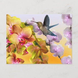 Cartão Postal Beija-flor, Lilases Roxos, Orquídeas Rosa Amarelo