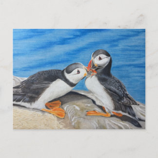 Cartão Postal Beijar Puffins