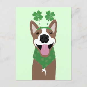 Cartão Postal Beije-me Sou Irlandês Cachorro Marrom Verde
