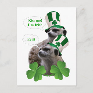 Cartão Postal Beije-me, sou um design irlandês de meerkat