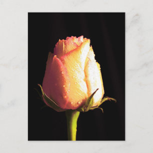 Cartão Postal Beijo de Chuva