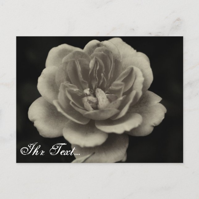 Cartão Postal Beileidskarte (Frente)