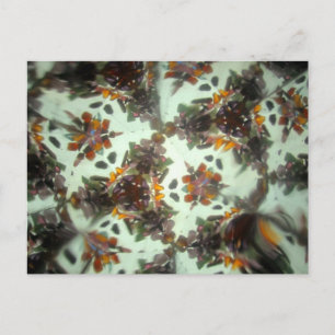 Cartão Postal Bejeweled Kaleidescope 27