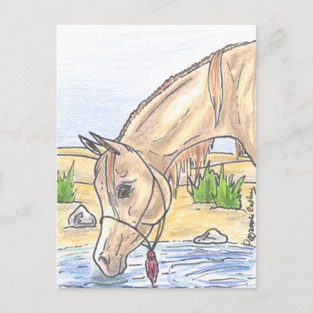 Cartão Postal "Bejh bint Ahwa"  (Frente)