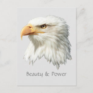 Cartão Postal Bela águia careca e poder personalizável
