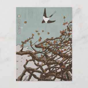 Cartão Postal Bela Andorinha Japonesa