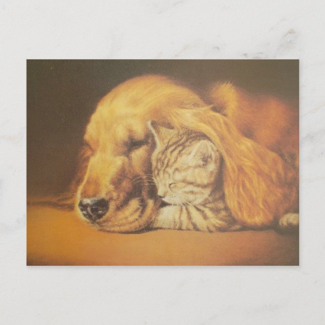 Cartão Postal Bela Arte Impressa de Gato e Cachorro Se Aconchega (Frente)