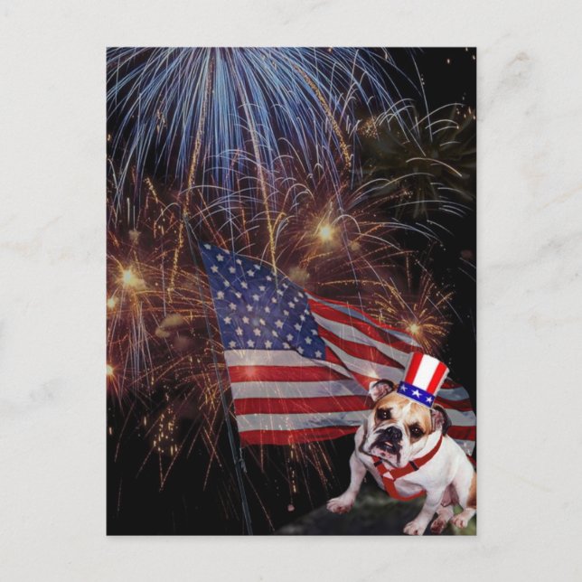 Cartão Postal Bela Celebração de Fireworks Design (Frente)