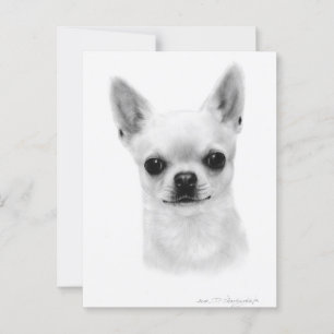 Cartão Postal Bela Chihuahua - Retrato Pet Pintado À Mão
