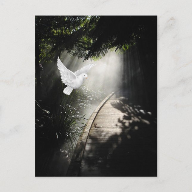 Cartão Postal Bela pomba voadora (Frente)