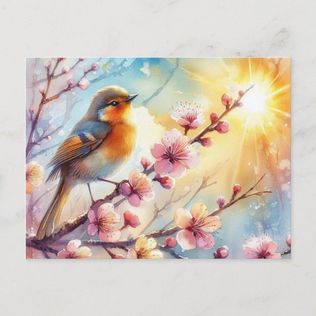 Cartão Postal Bela Primavera de Aves Paisagem 17 (Frente)