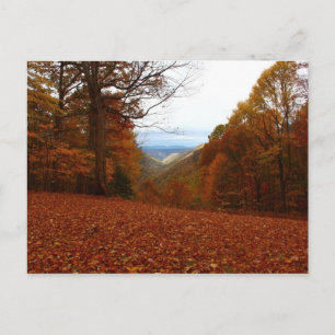 Cartão Postal Bela queda