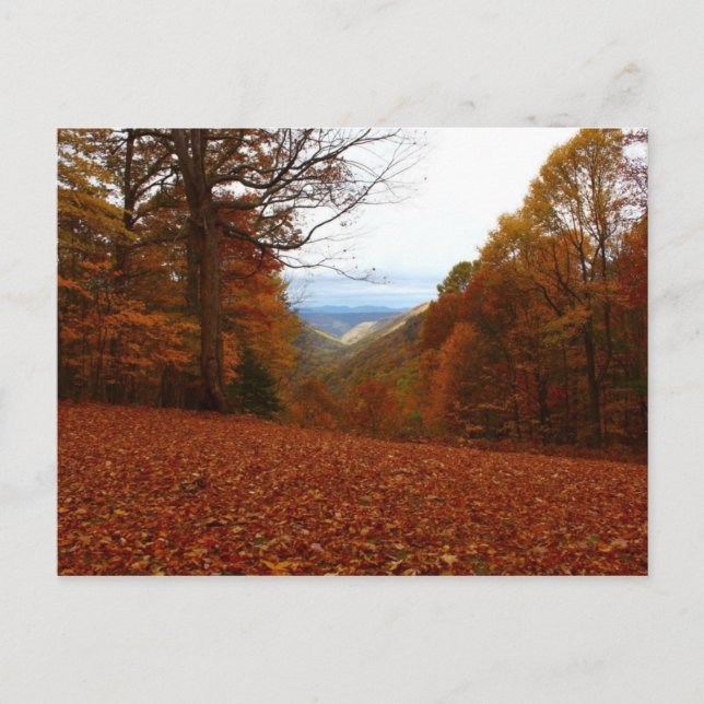 Cartão Postal Bela queda (Frente)