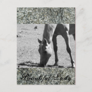 Cartão Postal Bela Senhora