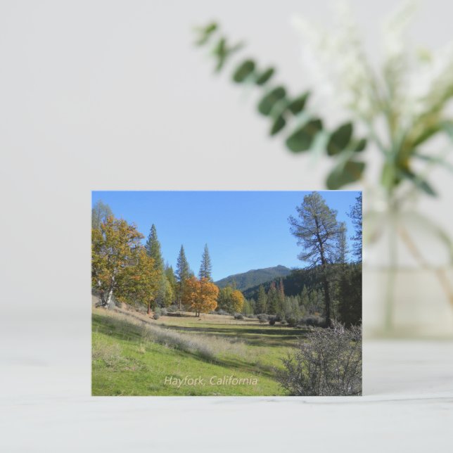 Cartão Postal Bela vista no vale.... (Em pé/Frente)