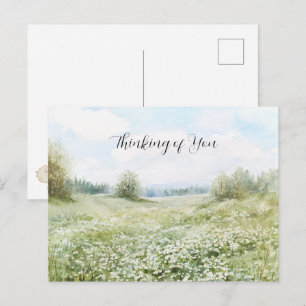 Cartão Postal Belas Flores de Prado Verde Céu Azul
