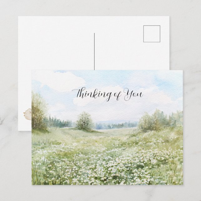 Cartão Postal Belas Flores de Prado Verde Céu Azul (Frente/Verso)