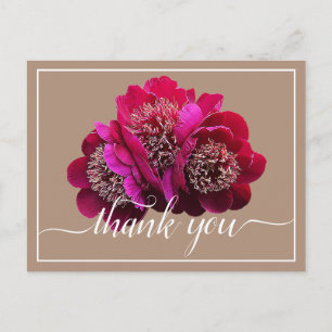 Cartão Postal Belas Peônias Carmesim Cor Fundo Obrigado
