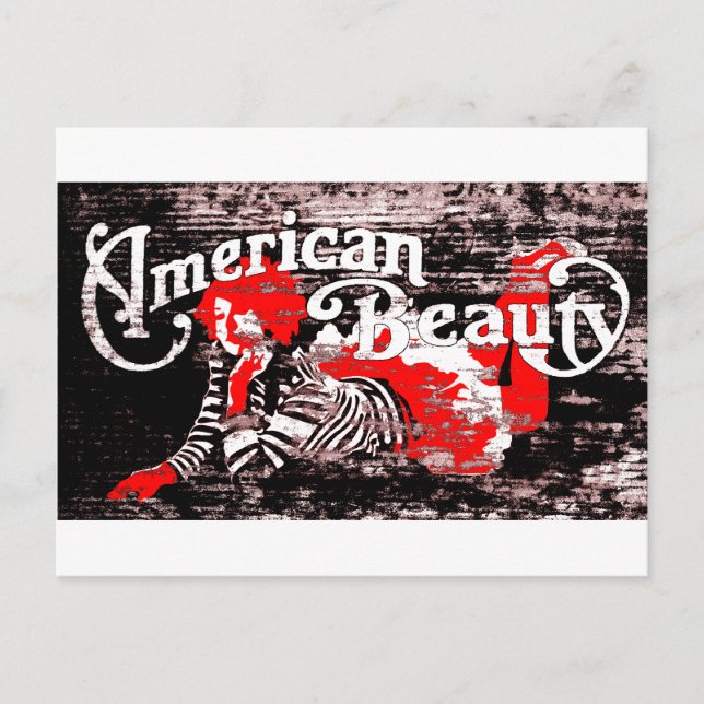 Cartão Postal beleza americana (Frente)