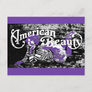 Cartão Postal beleza americana