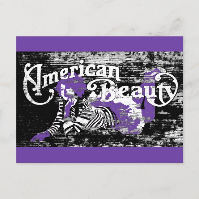 Cartão Postal beleza americana (Frente)