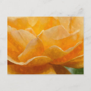 Cartão Postal Beleza De Um Rosa Painterly