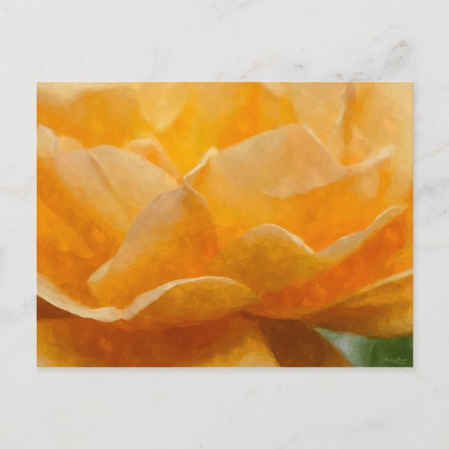Cartão Postal Beleza De Um Rosa Painterly (Frente)