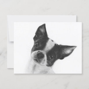 Cartão Postal Beleza Digna - Trabalho de arte Chihuahua pintado