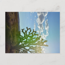 Cartão Postal Beleza do Deserto