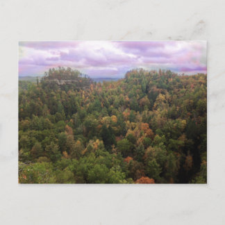 Cartão Postal Beleza do outono